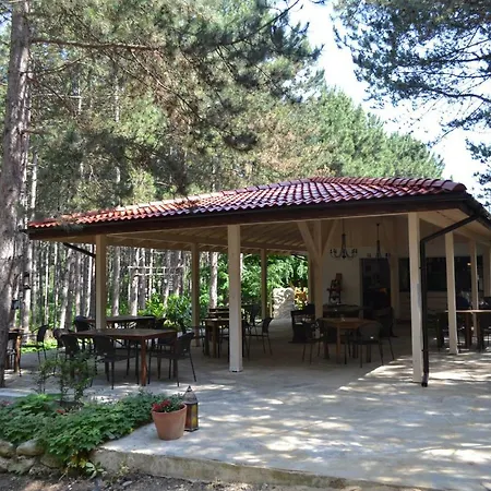 Gæstehus Forest House *