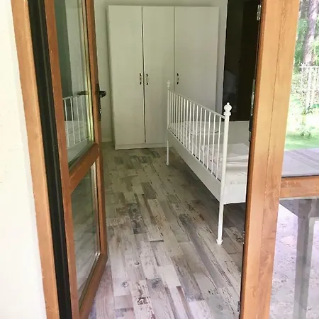 Forest House Varna