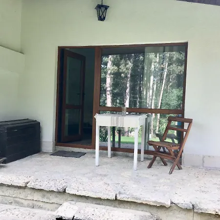 Gæstehus Forest House Varna