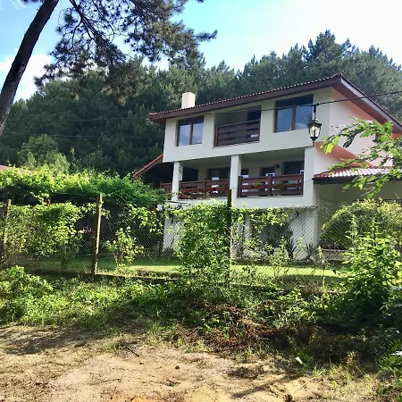 Forest House Gæstehus
